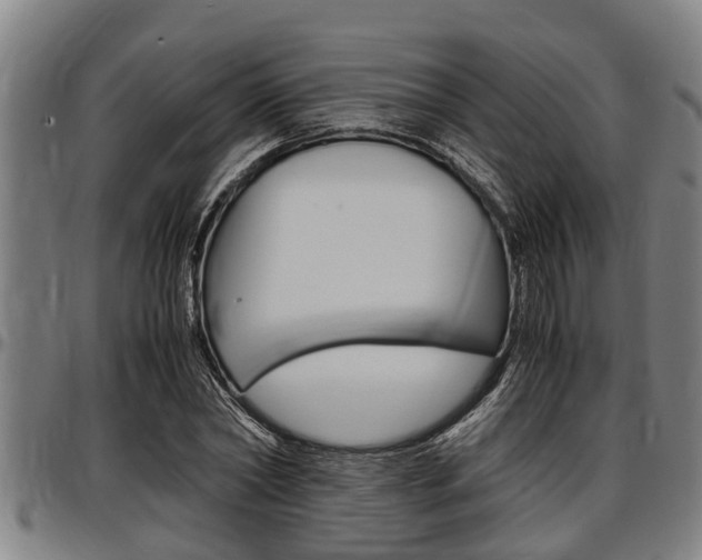 X0000097500782200802220841