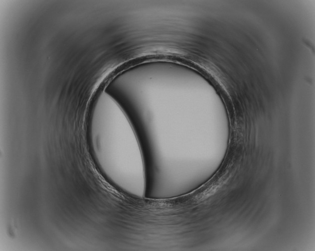 X0000097500783200802220841