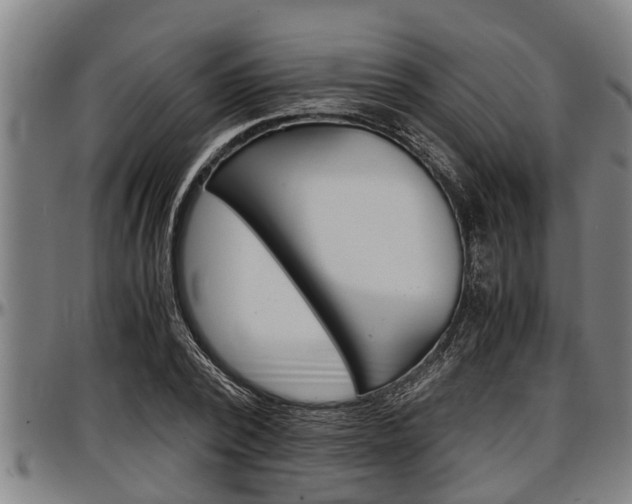 X0000097500784200802220841