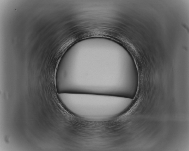 X0000097500785200802220841