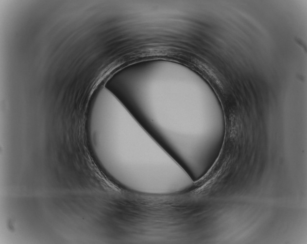X0000097500786200802220841