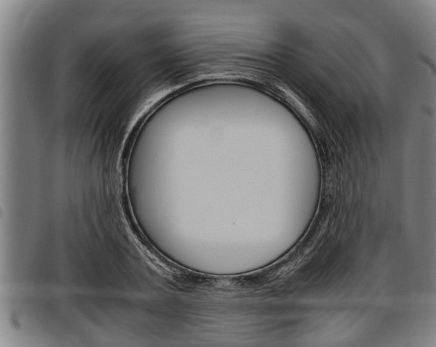 X0000097500787200802220841