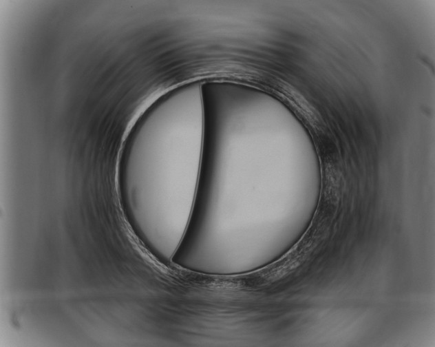 X0000097500788200802220841