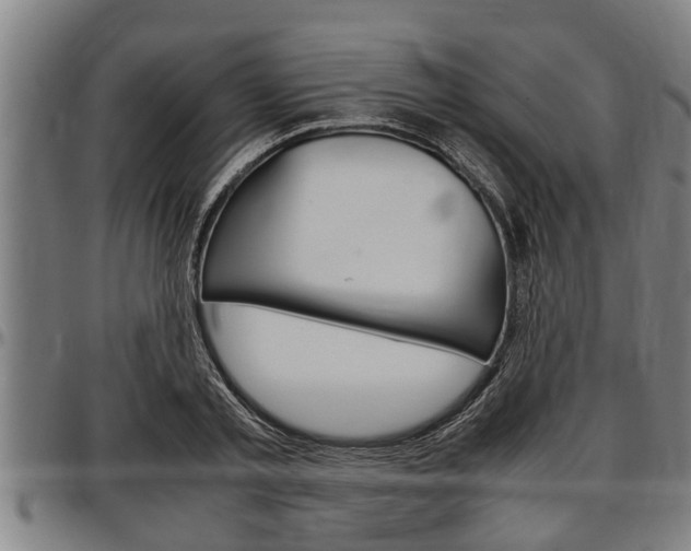 X0000097500789200802220841
