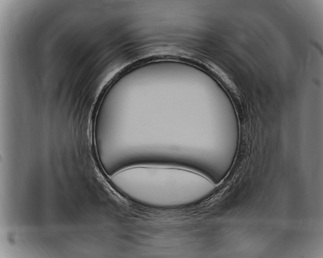 X0000097500791200802220841