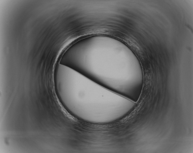 X0000097500792200802220840