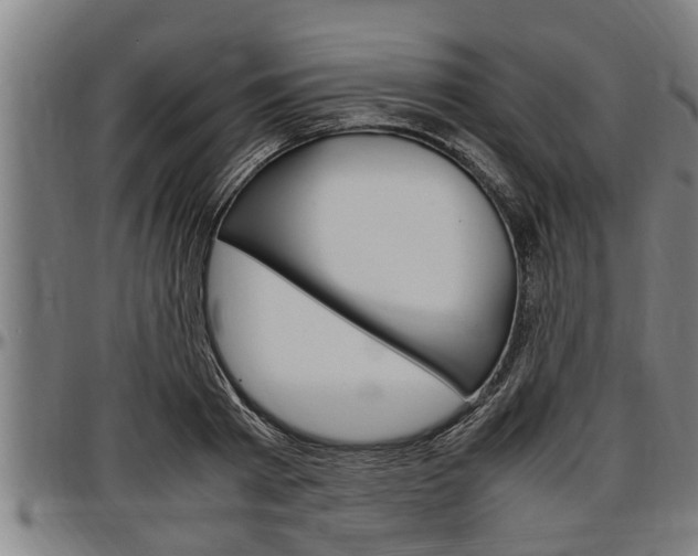 X0000097500793200802220840