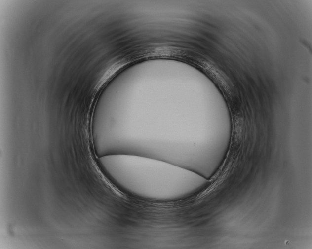 X0000097500794200802220840