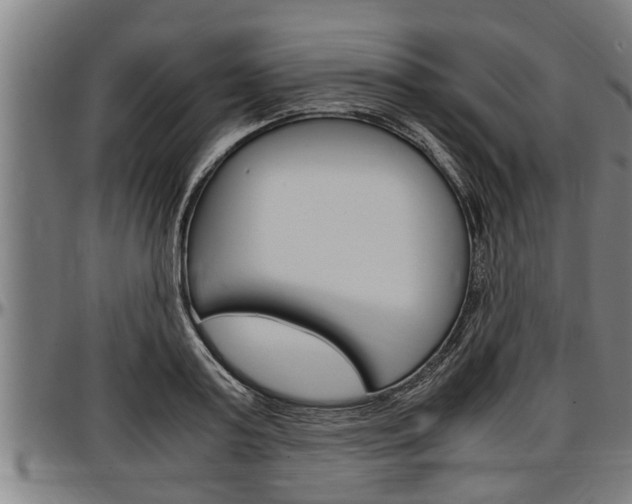 X0000097500795200802220840