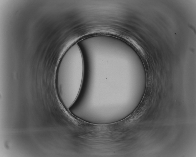 X0000097500799200802220840