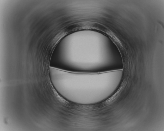 X0000097500801200802220840