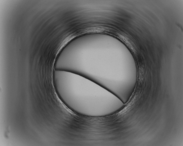 X0000097500802200802220840
