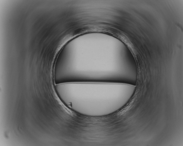 X0000097500803200802220840
