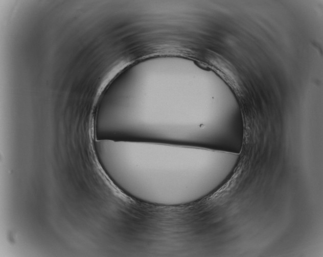 X0000097500804200802220840