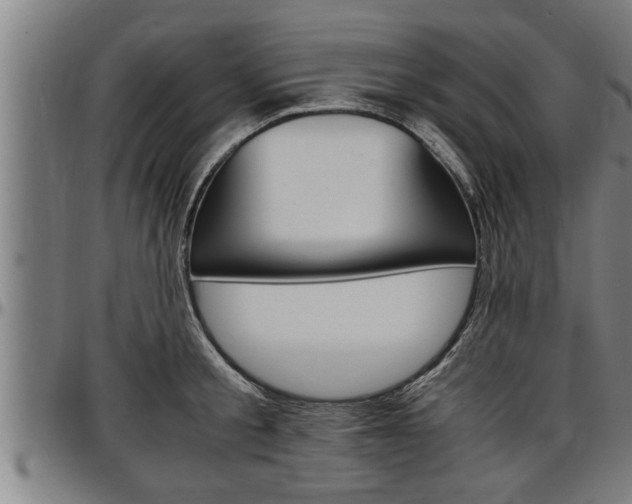 X0000097500805200802220840