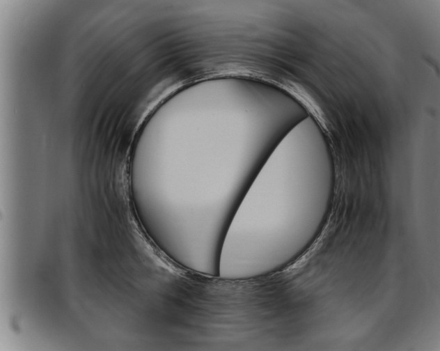 X0000097500806200802220840
