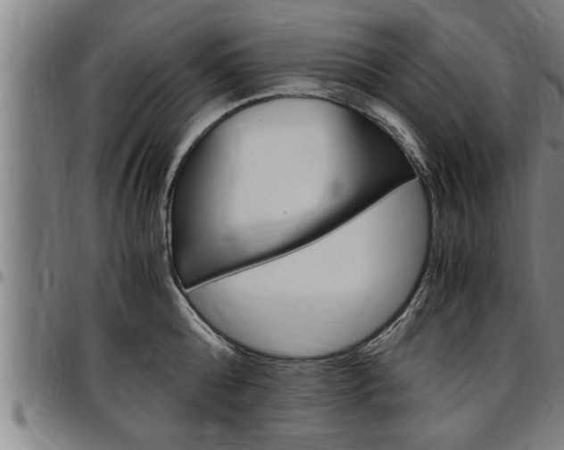 X0000097500808200802220840