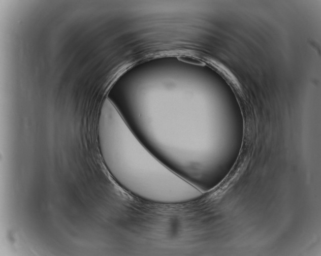 X0000097500809200802220840