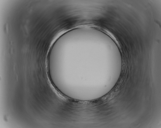X0000097500811200802220840