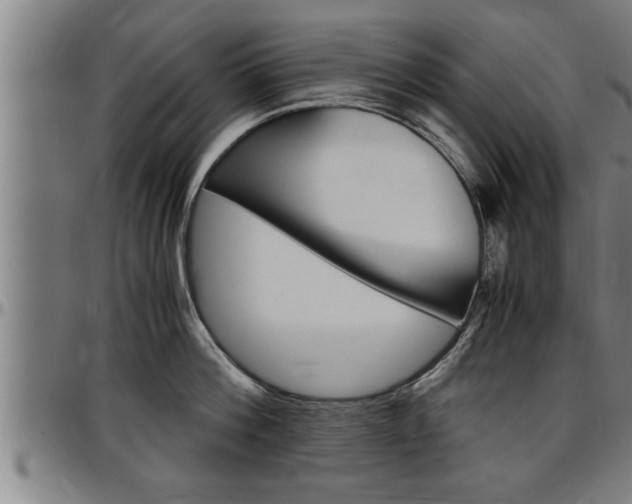 X0000097500812200802220840
