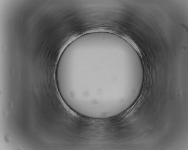 X0000097500813200802220840