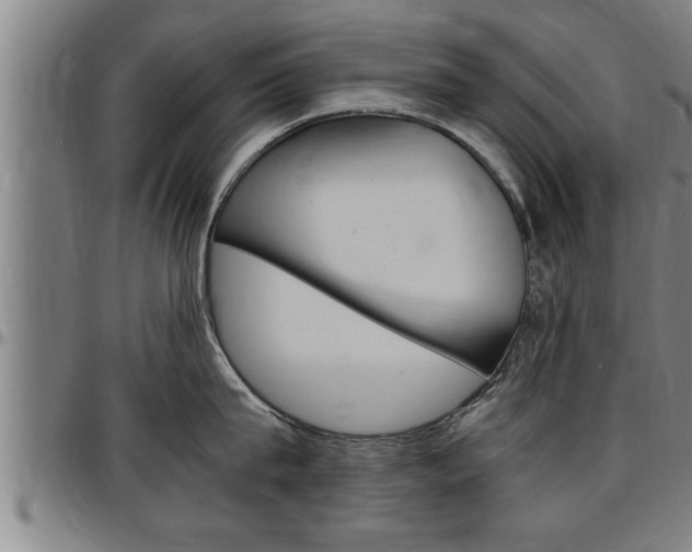 X0000097500815200802220840