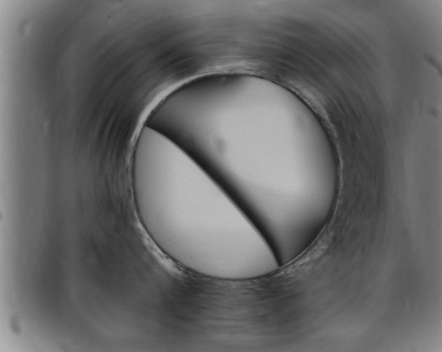 X0000097500816200802220840