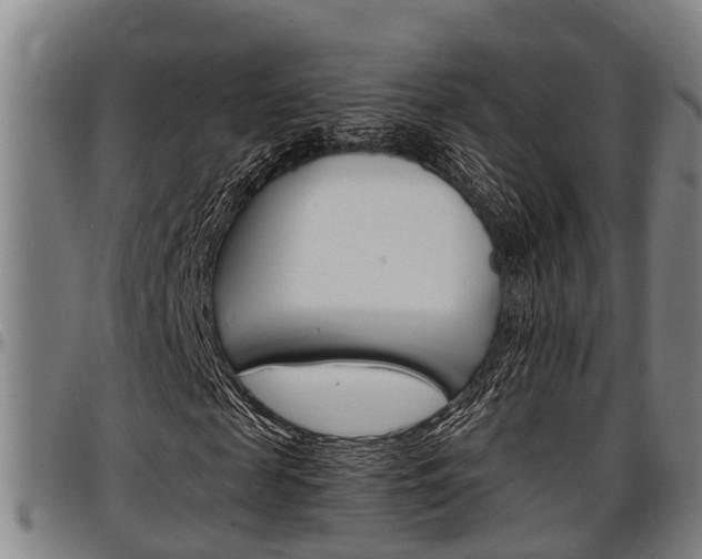 X0000097500817200802220839