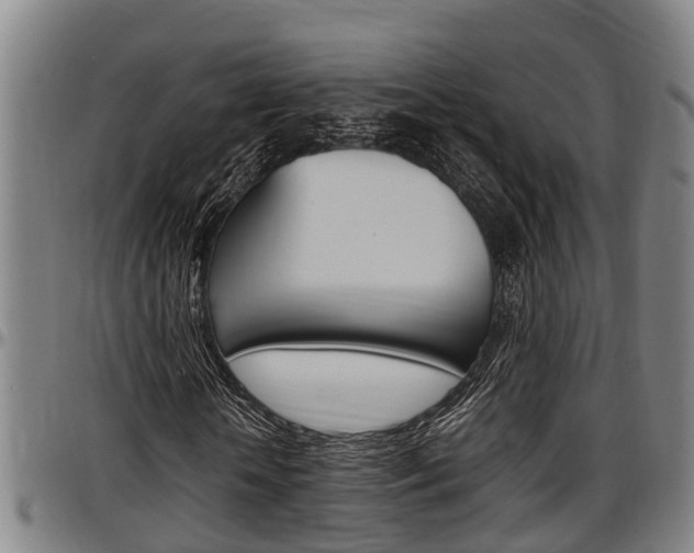X0000097500818200802220839