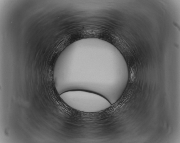 X0000097500819200802220839