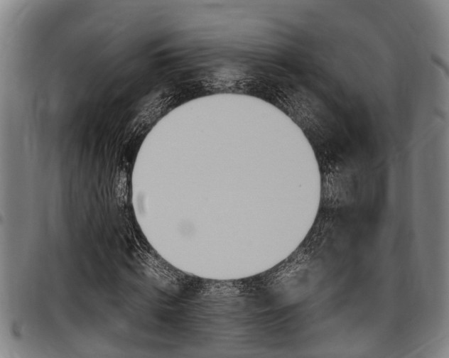 X0000097500820200802220839