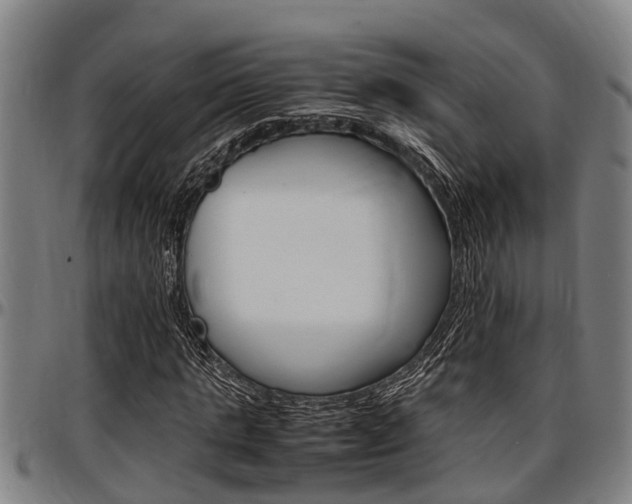 X0000097500821200802220839