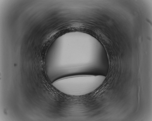 X0000097500822200802220839