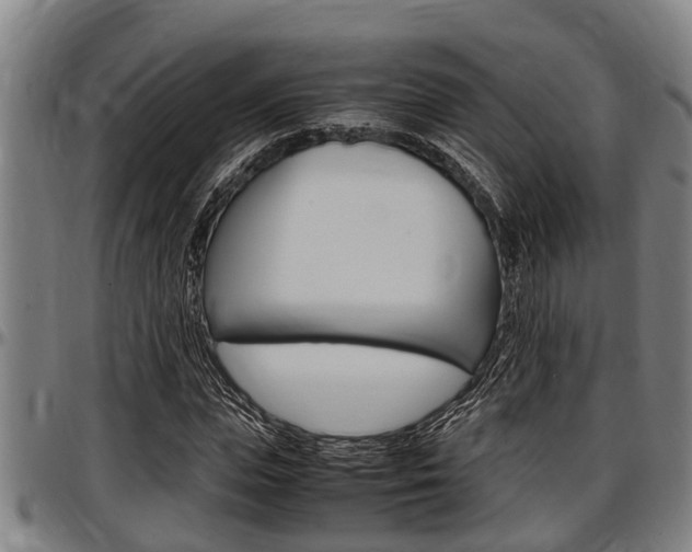 X0000097500823200802220839