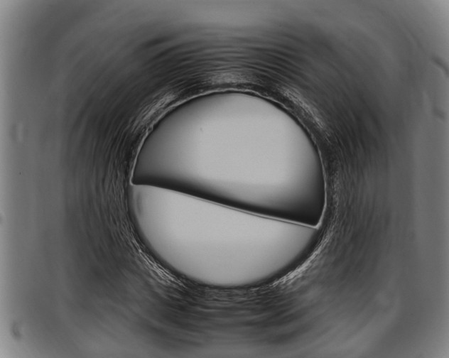 X0000097500825200802220839
