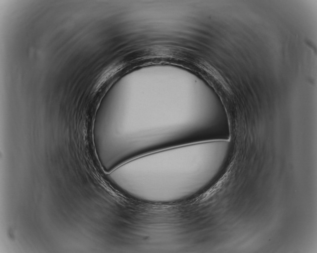X0000097500826200802220839
