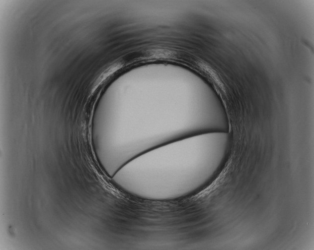 X0000097500827200802220839