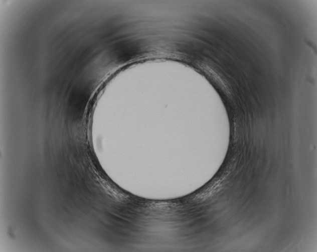 X0000097500828200802220839