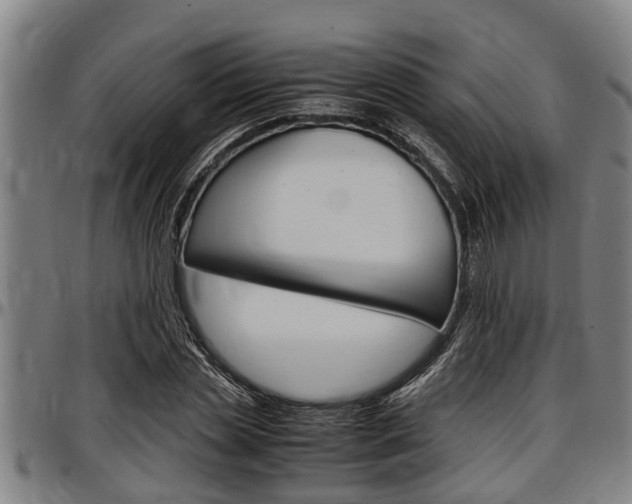 X0000097500829200802220840