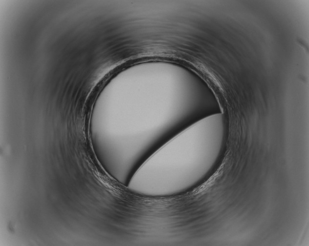 X0000097500830200802220840