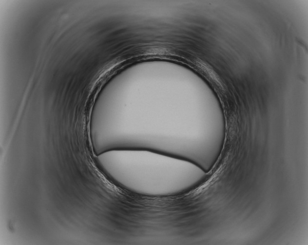 X0000097500831200802220840