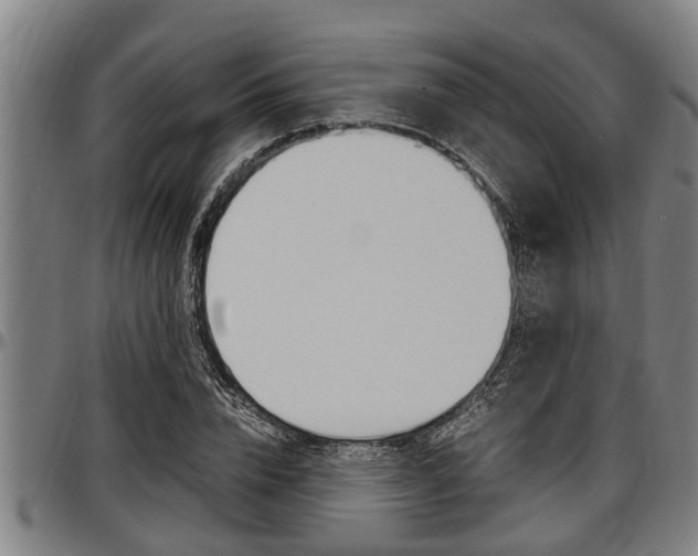 X0000097500832200802220840