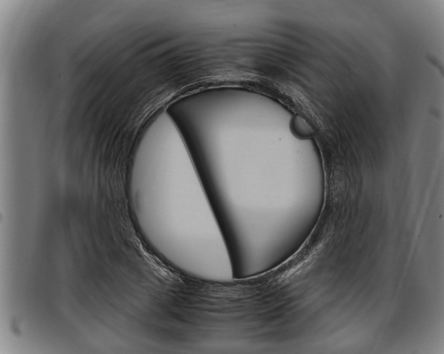 X0000097500833200802220840