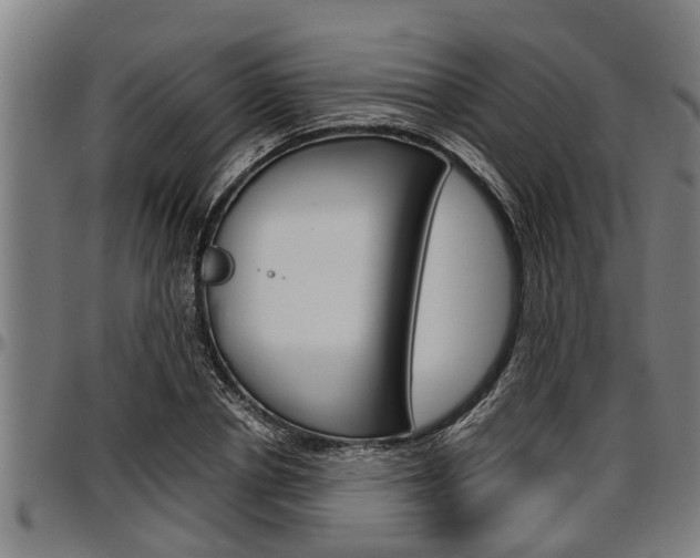 X0000097500834200802220840