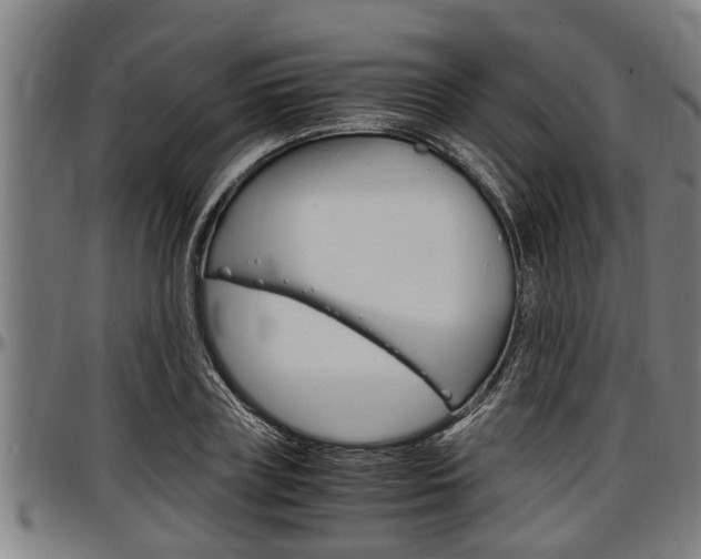 X0000097500835200802220840