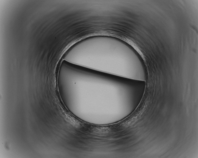 X0000097500837200802220840
