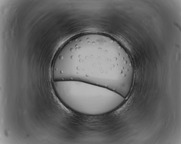 X0000097500839200802220840