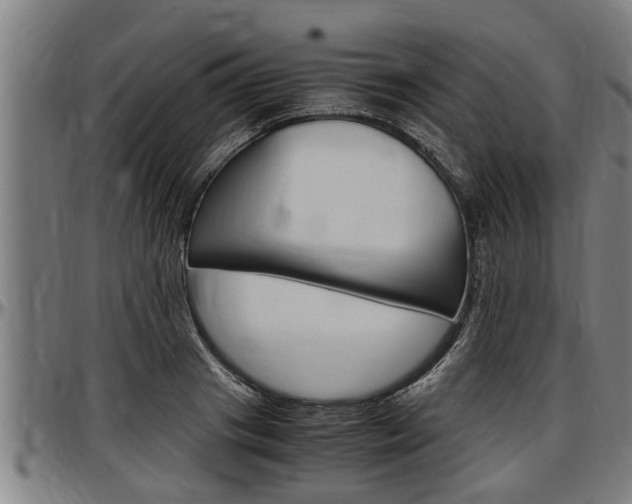 X0000097500841200802220840