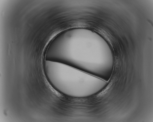 X0000097500843200802220840