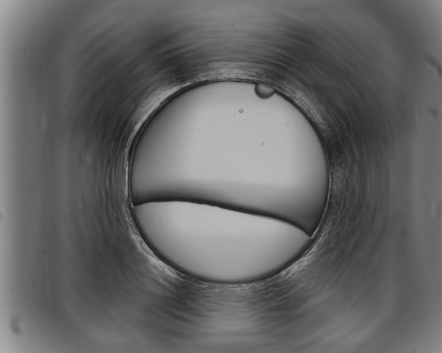 X0000097500844200802220840